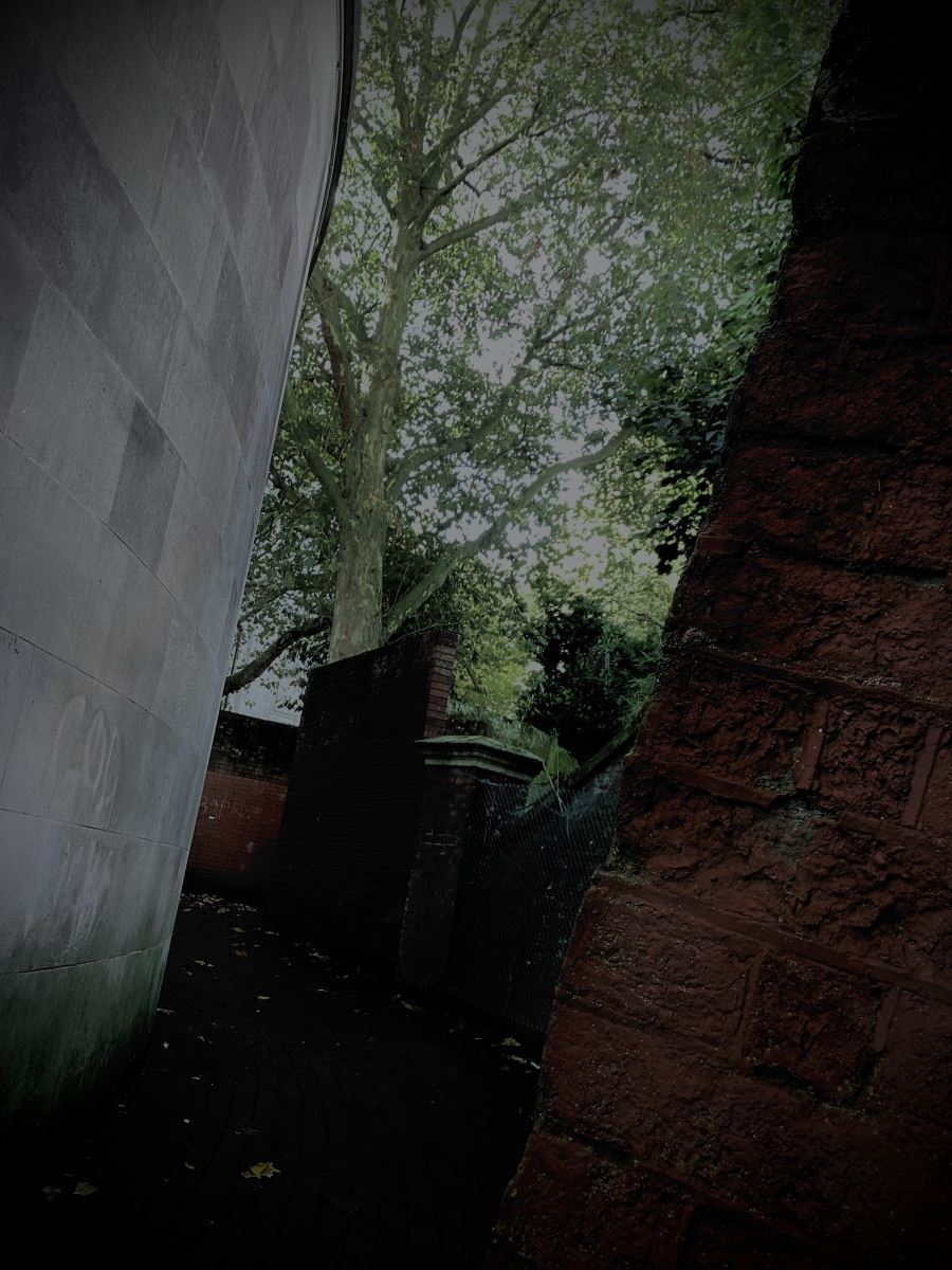 photo of a dark alleyway with a tree overhead